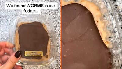 A Michigan woman says she found worms in fudge from the Applebutter Fest, adding ‘I’m totally grossed out’