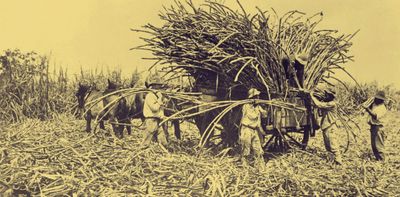 A new history of ‘blackbirding’ favours moral condemnation at the expense of complexity