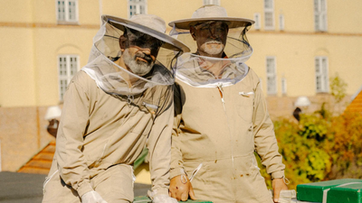 Copenhagen's ByBi grows from a rooftop project to 100 hives, producing six tonnes of honey yearly