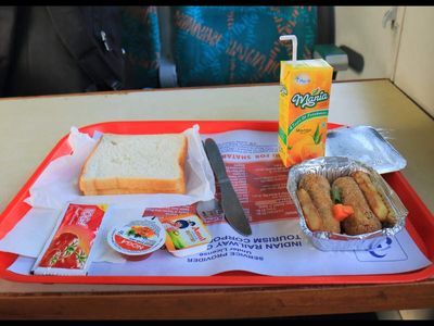 Getting food on train? Surprise checks on train meals & station food counters to get stricter; how IRCTC plans to catch vendors violating hygiene rules