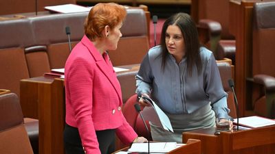 Pauline Hanson apologises for vulgar cartoon on rival