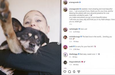 Ariana Grande mourns death of dog: 'I will miss you every day'
