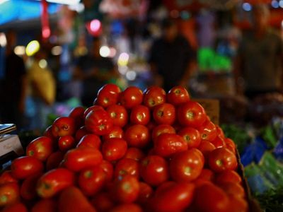 Tomato prices crash 65% in a week as drought-hit Nashik farmers face a double blow