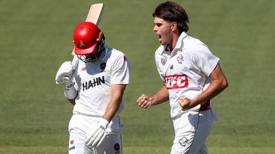 Bartlett blitz gives Queensland control of SA in Shield