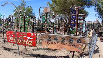 Route 66 Bottle Forest: son keeps Elmer’s desert ranch open; visitors fuel its fragile future