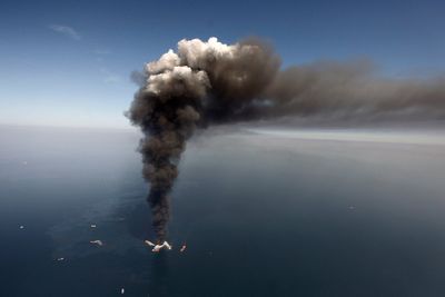 Marine life still hasn’t recovered from devastating Deepwater Horizon oil spill