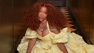 'Being a Hater Gets Expensive': SZA Fires Back at Art Troll by Buying Balloon Sculpture They Mocked