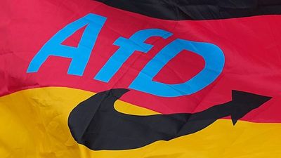 Hackers steal 421,000 emails belonging to members of Germany's far-right AfD party