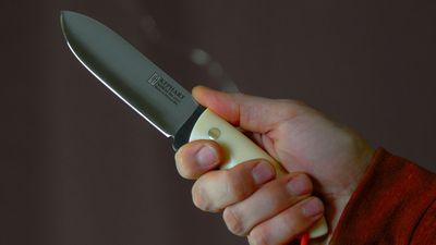 Romania Stabbing Probe: 13-Year-Old's Alleged TikTok Posts Examined After Teacher and Pupil Attacked