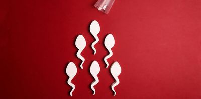 How Denmark became the sperm donation capital of the world
