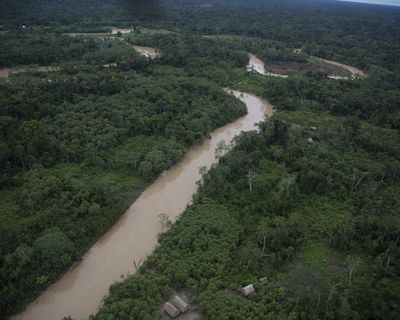 Giving £2 a day to people in the Amazon helps protect rainforest, pilot project finds
