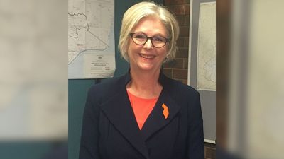 'Devastating': Family of Man Charged Over Alleged Attack on Australian MP Reveals 20-Year Friendship