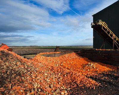Three ways to boost the UK’s fragile food security
