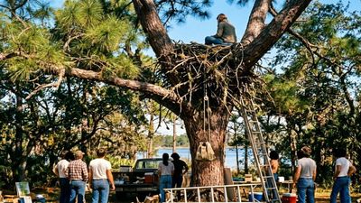 Woman Lived In Eagle Nest: week-long stunt launched rehab centre; aided bald eagle recovery