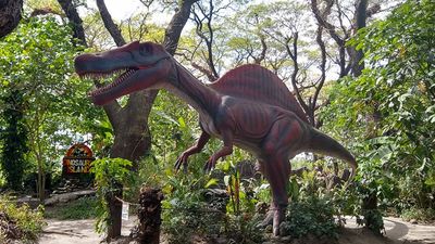 About 65 million years ago, after dinosaurs died, fungi may have proliferated as forests filled with dead plants left behind by the mass extinction