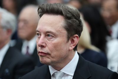 Elon Musk is on Democrats’ ‘list’ to target if they win midterms: report