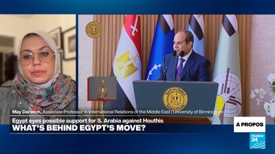 Egyptian involvement in Yemen 'may actually weaken Cairo's regional role', expert says