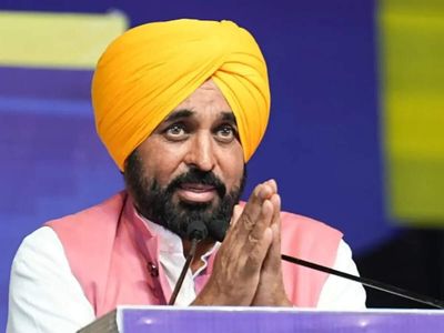 Why was Bhagwant Mann ‘detained for 3 hours’ at Delhi airport and issued a Rs 50,000 challan? What's AAP claiming?