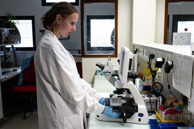 APOE4 Alzheimer's Gene Linked to Leaky Brain Vessels in Columbia Lab and Mouse Studies, but No Treatment Yet