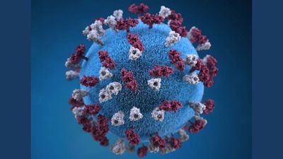 PA Measles Outbreak Hits 1,286 Cases; 66 Pregnant Women Infected, at Least Six Babies Born With the Virus