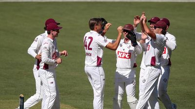 Queensland survive early fright to down SA in Shield