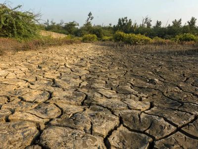 World falling 'dangerously short' on climate action, warns UN