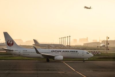 Cancellation chaos as snake found under plane carpet in Japan