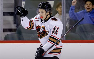 NHL Star Suffers Medical Episode During Team's Flight, Forces Emergency Landing