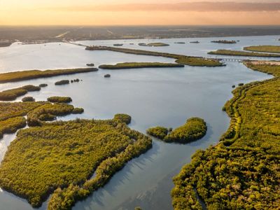 In 2004, Florida researchers attached 36 recycled oyster shells to each reef mat; restored Mosquito Lagoon reefs later reached about 1,000 live oysters per m²