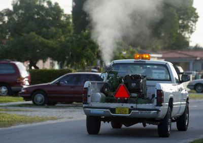 Florida's Citrus County Issues Mosquito-Borne Illness Alert After Two Confirmed Dengue Cases Spread by Local Mosquitoes