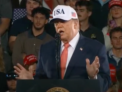 'You Can't Trust Anybody Here': Trump Ally Reveals 'Brutal' White House Infighting Ahead of Midterms