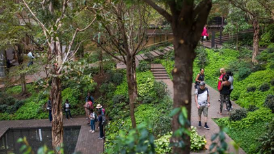 Ford Foundation funded 324 groups with $158.5 million for land rights and forests