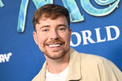 ‘You’re no longer an influencer … you’re a cofounder’: MrBeast’s business resembles a Fortune 500 holding company, investor Steven Bartlett says