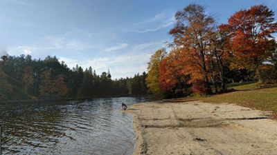 Pennsylvania turned fire-damaged land bought for as little as 18 cents an acre into a million-tree park
