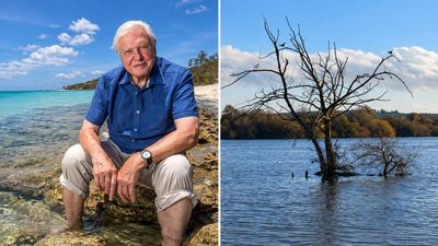 Attenborough Nature Reserve: Gravel pits become wildlife haven; 2,500 species thrive
