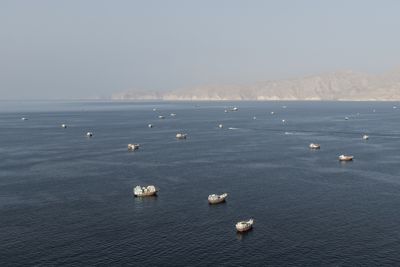 More Oil is Flowing Through the Persian Gulf Than Before the War. Prices are Still High.