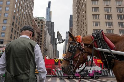 End of an era as NYC finally moves to ban Central Park horse-drawn carriages