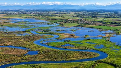 Denmark restored 26km of river and 2,200 hectares of farmland to marshes