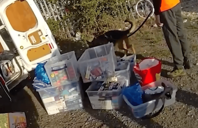 Met Police target London car boot sales and hundreds of shops in crackdown on retail crime