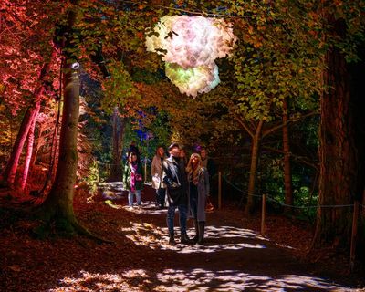 Some enchanted evenings: 10 of Great Britain’s best after-dark adventures for families