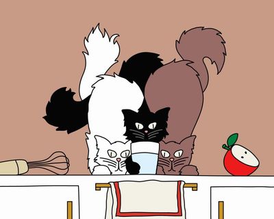 You be the judge: should my husband stop letting our cat drink on the kitchen counter?