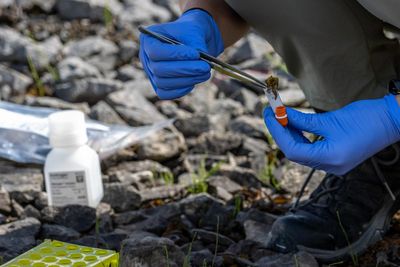 Big pharma accused of ‘free-riding on nature’ as global fund attracts just $7,000