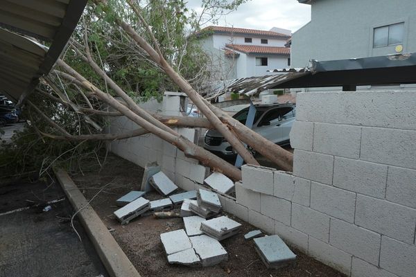 Violent Arizona storms bring possible tornado, toppled trees and golf ball-size hail