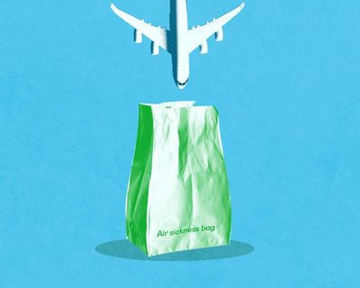 Delays, deodorant and ripped up carpet: how airlines handle mid-flight ‘biological hazards’