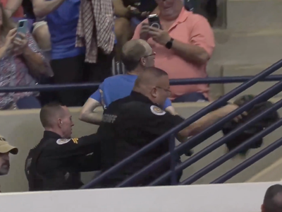 Trump Praises Supporter After Protester Is Punched at Rally, Viral Video Shows