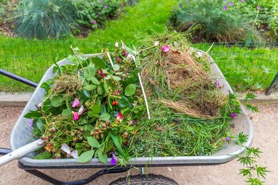 Why Some Garden Debris Should Stay Until Spring