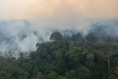 Amazon Fire Probe Targets Political Motive as Manaus Records Its Worst Air Quality Crisis in Recent Memory