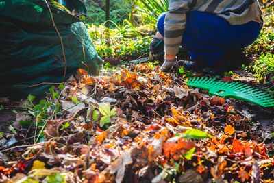 How to Create a Wildlife-Friendly Fall Garden Cleanup