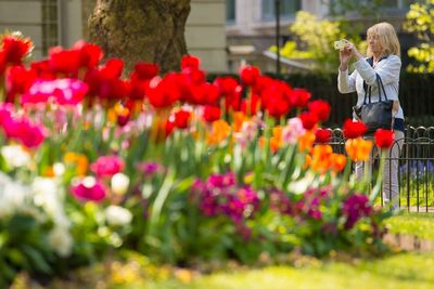 London's 10 most peaceful boroughs revealed - is yours one of them?