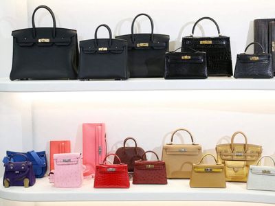 Chinese spending curbs weigh on Hermes sales